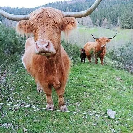 Maison De Montagne Vue Magnifique 방트롱