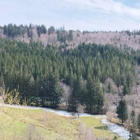 Maison De Montagne Vue Magnifique فينترون