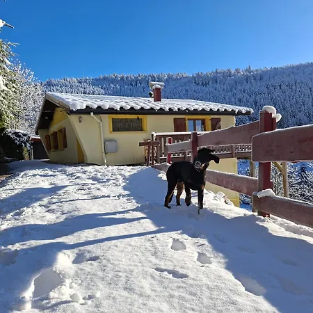 Maison De Montagne Vue Magnifique Holiday home *